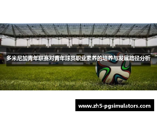 多米尼加青年联赛对青年球员职业素养的培养与发展路径分析