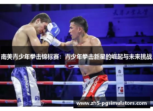 南美青少年拳击锦标赛：青少年拳击新星的崛起与未来挑战