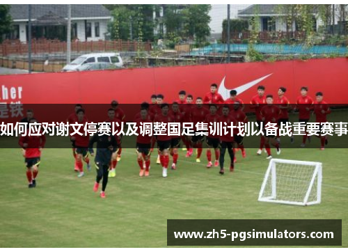 如何应对谢文停赛以及调整国足集训计划以备战重要赛事