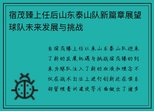宿茂臻上任后山东泰山队新篇章展望球队未来发展与挑战