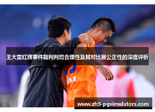 王大雷红牌事件裁判判罚合理性及其对比赛公正性的深度评析