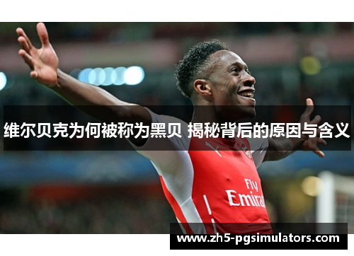 维尔贝克为何被称为黑贝 揭秘背后的原因与含义