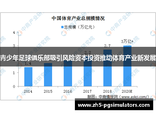 青少年足球俱乐部吸引风险资本投资推动体育产业新发展