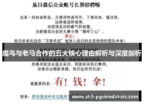 魔鸟与老马合作的五大核心理由解析与深度剖析