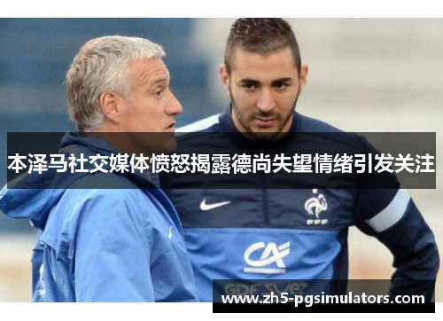 本泽马社交媒体愤怒揭露德尚失望情绪引发关注