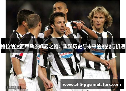 格拉纳达西甲劲旅崛起之路:重塑历史与未来的挑战与机遇 格拉纳达西甲劲旅崛起之路:重塑历史与未来的挑战与机遇